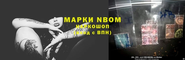 прущие грибы Бугульма