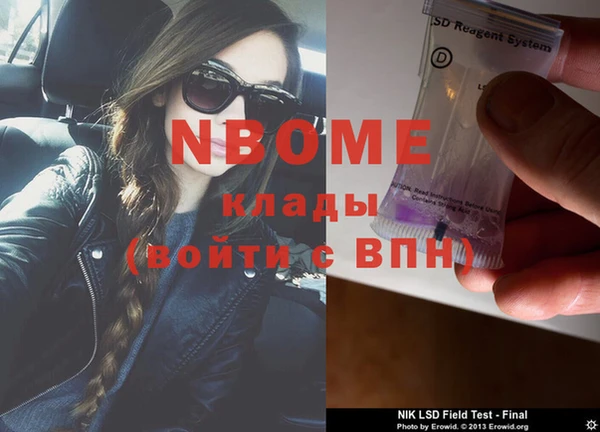 прущие грибы Бугульма